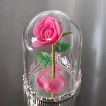 🌹ガラスドームの薔薇🌹ピンク
