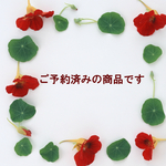 【ご予約のお客様専用販売ページ】みずたまトートバッグレッド&トートバッグシルバー