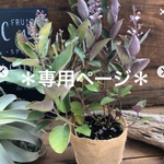 chaori 様 専用ページです。