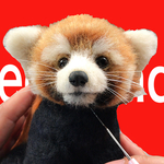 レッサーパンダ♡