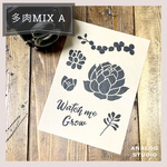 【A5】ステンシルシート『多肉MIX A』送料無料