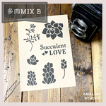 【A5】ステンシルシート『多肉MIX B』送料無料