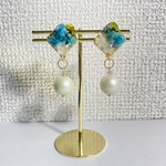 【じんくん様専用】本物のお花のイヤリング(上段左ブルー💙)と、ピアス(下段右パープル💜)のセット💐
