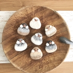 ぷっくりほっぺの文鳥さんブローチ