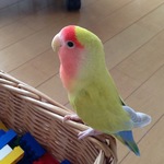 e様専用ページ