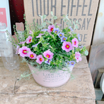 ラスト！かわいい♡【カラフル寄せ植え】ピンク系ブリキ鉢！ナチュラルガーデニング♡
