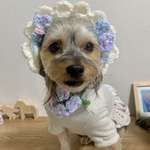 専用ページです🌱