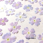 【押花素材64】バーベナ　30枚　レジン　アクセサリー　押し花　ピアス　スマホケース　結婚証明書