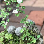 苔盆景(ふたり地蔵・ミツデ岩ガサ・黄金葉シモツケ)