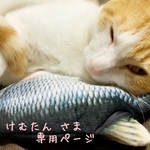 [けむたん さま¨̮♡専用ページ]