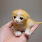 黄色の赤ちゃんネコ