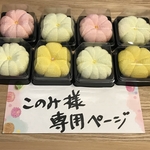 このみ様専用ページ　ちりめん　和菓子８個セット