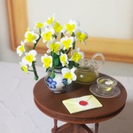 ♡胡蝶蘭の鉢植え ミニチュア