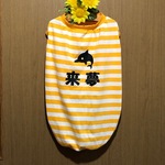 防蚊・接触冷感ボーダータンク イルカ　シトラスオレンジ　コーギー