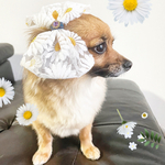 マーガレットレースのビッグリボン🎀 犬用リボン　トリミング　キッズリボン　わんこアクセ　大人かわいい　プチギフト　jdバレッタ　トップノットリボン　ベビーヘアクリップ　ワンコ用バレッタ