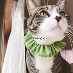 Colorful*°stripe猫シュシュ首輪(黄緑×グレー)