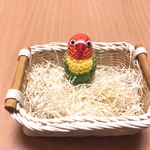 ボタンインコちゃん（ヤマブキボタン）