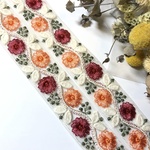 インド刺繍リボン✴︎50cm [EI21-126]