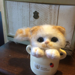 スコティッシュフォールド♪猫ちゃんポット入り癒し系