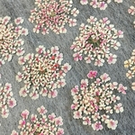 押し花299 レースフラワー着色