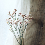 【 Hiranon24 様専用page 】
