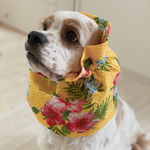 ❤︎2021サマーセール❤︎ハイビスカス柄イエロー　中型犬用スヌード　犬用スヌード