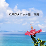KURO★にゃん様　専用