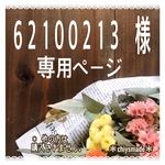62100213さま★専用ページ6月set