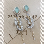 2525eripyon様専用