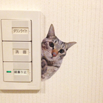 ウォールステッカー