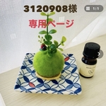 3120908様専用ページ