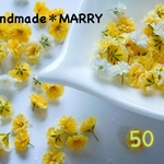 50かすみ草♡ドライフラワー