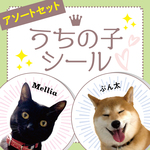 【アソートセット 計18枚】名入れできます うちのこシール  うちの子 オーダー かわいい