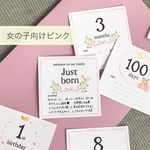 【マンスリーカード 月齢】育児記録欄 メモ欄付き ましかく アルバス 女の子向けピンク 育児記録が残せる ALBUSなどのアルバム整理に♪　