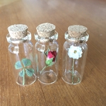 小瓶の唄 *:.。. .。.:*:インテリア雑貨　ボトルフラワー　バラ&四つ葉クローバー&ハナカンザシ　植物標本