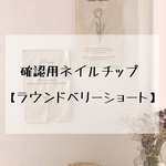 サイズ確認用ネイルチップ