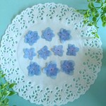 押し花素材　No100　あじさい10枚のセット 