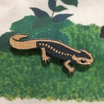 アメイロイボイモリ