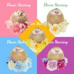 Flower Hariring
