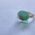 エメラルドグリーンな海月