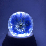 2つのシーンで楽しめる　花文鎮(クロタネ草.ニゲラ)