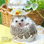 お花かわいい麻帽子（M）