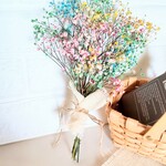 new  ♡  かすみ草スワッグ  ～パステル～