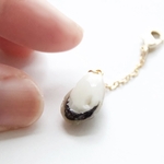 どこでも牡蠣チャーム（生牡蠣）
