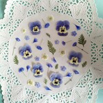 押し花素材　No124　ビオラと小花のセット