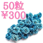 かすみ草ドライフラワー50粒セット(ネイビー)