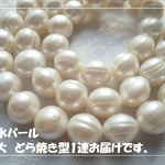 ♪送料無料♪再販♪淡水パール　どら焼き型ホワイト1連