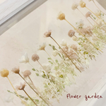 𖧷𓂃 ＊Flower garden＊𓂃 𖧷