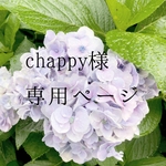 chappy様専用ページ