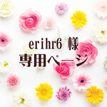 erihr6様専用
